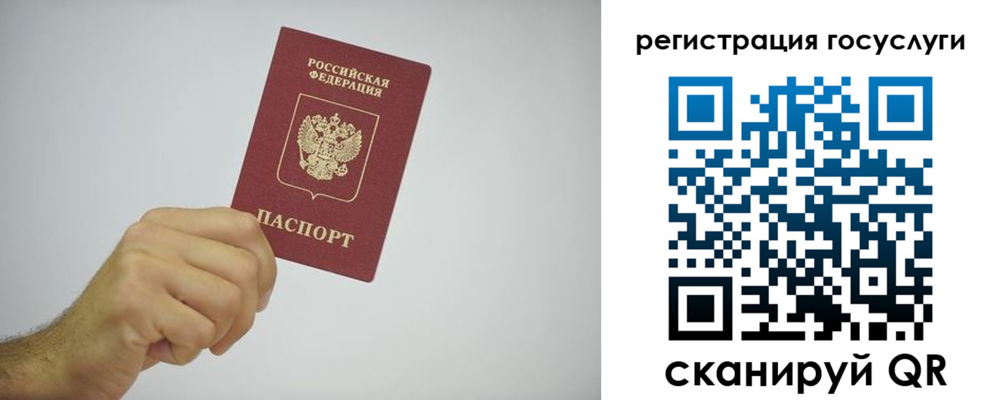временная регистрация гарантия в Вольске